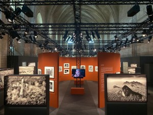Amazônia Exhibition at Palais des Papes illuminated with Chauvet