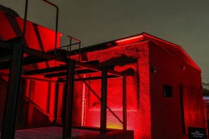 Anolis unterstützt Lichtkunstausstellung „Dark Matter“