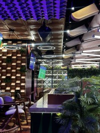 McGettigan’s partners with Marriott and Martin Audio in Dubai