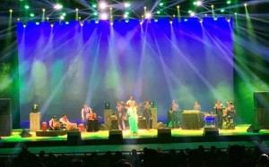 Chauvet Rogue R2 Wash fixtures used at Gurdas Maan concert