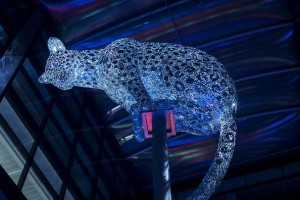 Anolis fixtures illuminate leopard Poised in Aberdeen
