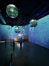 OdySea Aquarium equipped with Christie 1DLP projectors and Pandoras Box software and servers
